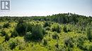 Lot 36 Bartley Drive, Miller Lake, ON 