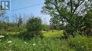 Lot 36 Bartley Drive, Miller Lake, ON 