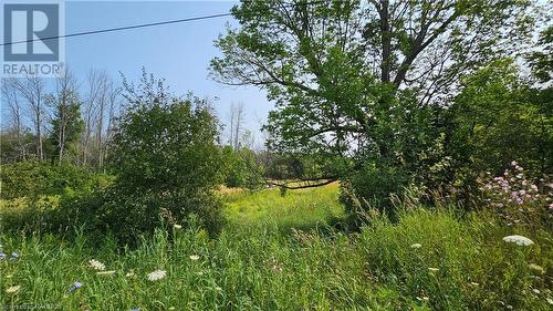 Lot 36 Bartley Drive, Miller Lake, ON 