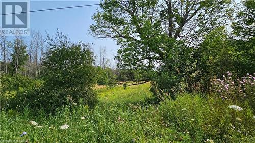 Lot 36 Bartley Drive, Miller Lake, ON 