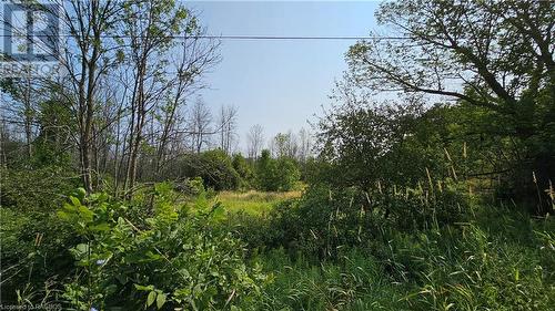 Lot 36 Bartley Drive, Miller Lake, ON 