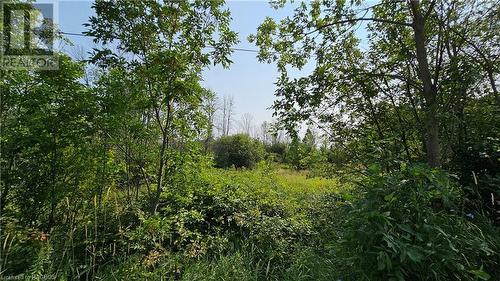 Lot 36 Bartley Drive, Miller Lake, ON 