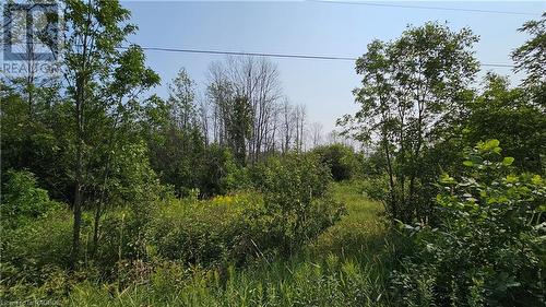 Lot 36 Bartley Drive, Miller Lake, ON 