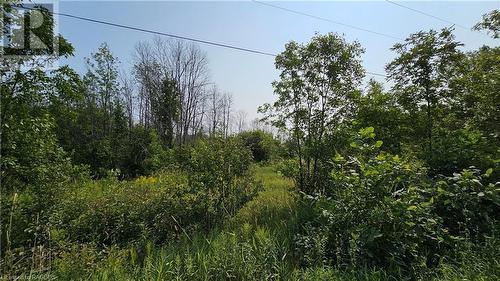 Lot 36 Bartley Drive, Miller Lake, ON 