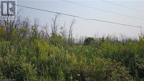 Lot 36 Bartley Drive, Miller Lake, ON 