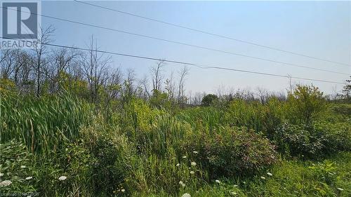 Lot 36 Bartley Drive, Miller Lake, ON 