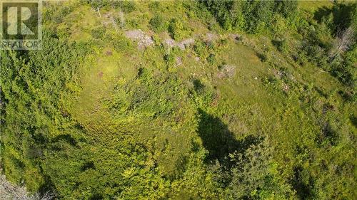 Lot 36 Bartley Drive, Miller Lake, ON 