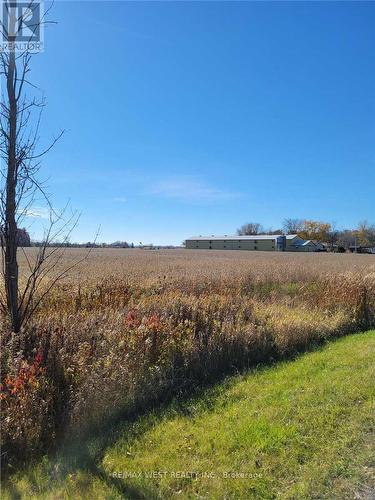 52149 Wilford Road, Wainfleet, ON - Outdoor With View