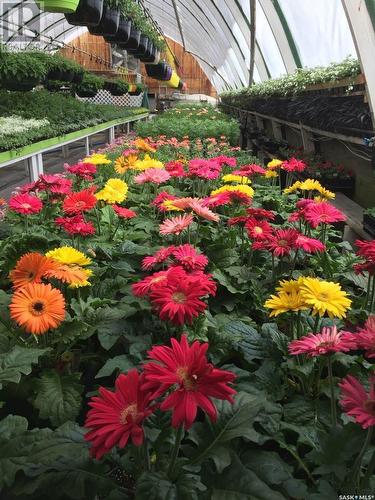 Serenity Gardens And Greenhouse, Grenfell, SK 