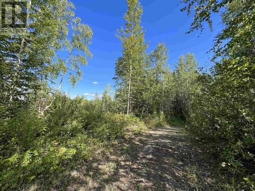 Lot 10 Murray Road, Quesnel, BC 