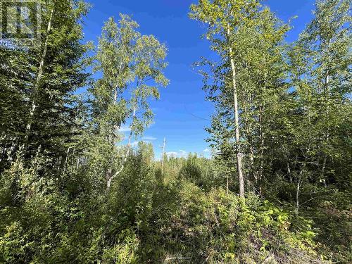 Lot 10 Murray Road, Quesnel, BC 