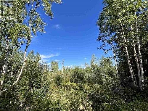 Lot 10 Murray Road, Quesnel, BC 