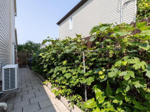 Backyard - 745 Rue De La Colline, Pincourt, QC - Outdoor