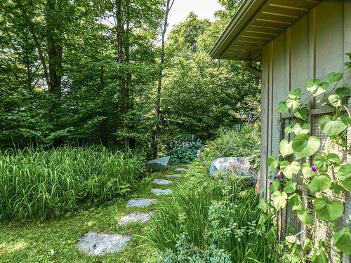 Cour - 2019  - 2021 Mtée Du Cap-Violet, Sainte-Lucie-Des-Laurentides, QC - Outdoor