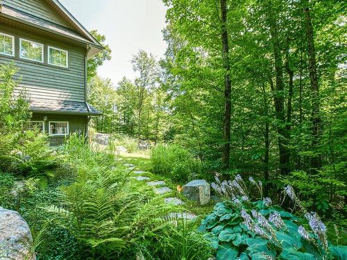 ExtÃ©rieur - 2019  - 2021 Mtée Du Cap-Violet, Sainte-Lucie-Des-Laurentides, QC - Outdoor