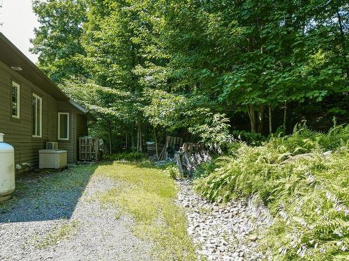 Face arriÃ¨re - 2019  - 2021 Mtée Du Cap-Violet, Sainte-Lucie-Des-Laurentides, QC - Outdoor