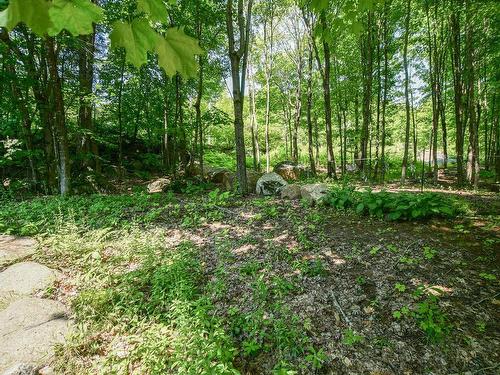 Terre/Terrain - 2019  - 2021 Mtée Du Cap-Violet, Sainte-Lucie-Des-Laurentides, QC - Outdoor