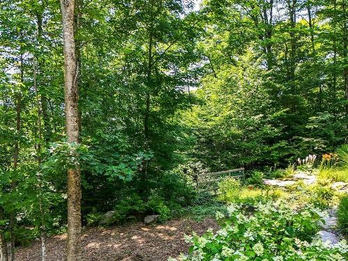 ExtÃ©rieur - 2019  - 2021 Mtée Du Cap-Violet, Sainte-Lucie-Des-Laurentides, QC - Outdoor