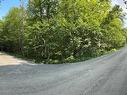 Land/Lot - Rue Des Saules, Austin, QC 