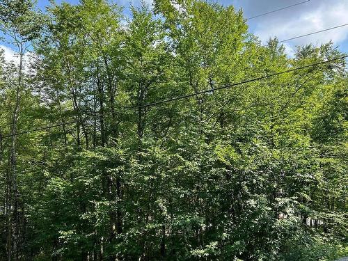 Land/Lot - Rue Des Saules, Austin, QC 