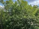 Land/Lot - Rue Des Saules, Austin, QC 