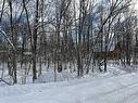 Land/Lot - Rue Des Saules, Austin, QC 