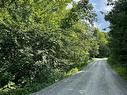 Land/Lot - Rue Des Saules, Austin, QC 