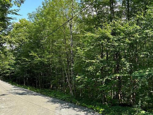 Land/Lot - Rue Des Saules, Austin, QC 