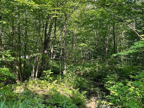 Land/Lot - Rue Des Saules, Austin, QC 