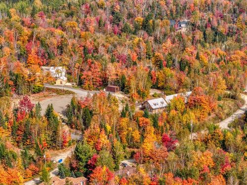 Vue d'ensemble - 54  - 56 Ch. D'Entrelacs, Sainte-Marguerite-Du-Lac-Masson, QC - Outdoor With View