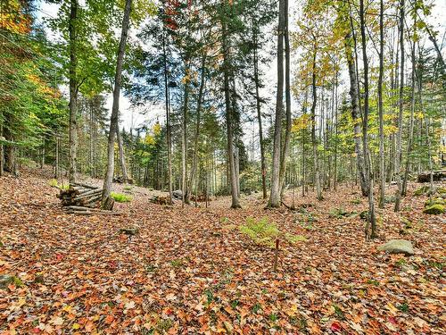 ExtÃ©rieur - 54  - 56 Ch. D'Entrelacs, Sainte-Marguerite-Du-Lac-Masson, QC - Outdoor