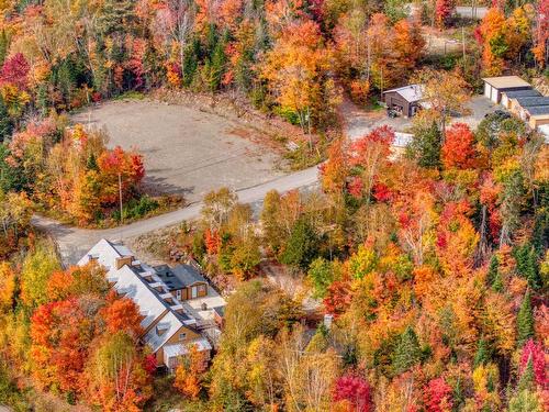 Vue d'ensemble - 54  - 56 Ch. D'Entrelacs, Sainte-Marguerite-Du-Lac-Masson, QC - Outdoor