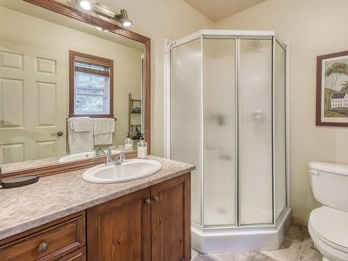 Ensuite bathroom - 166 Ch. De La Falaise, Mont-Tremblant, QC 