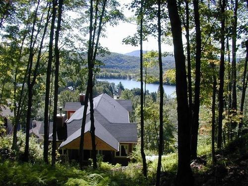 Back facade - 166 Ch. De La Falaise, Mont-Tremblant, QC 