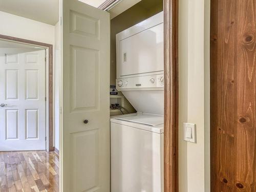 Laundry room - 166 Ch. De La Falaise, Mont-Tremblant, QC 