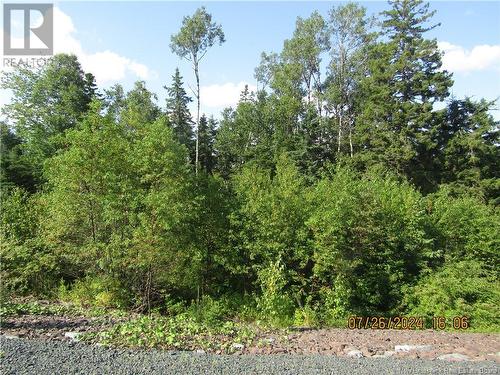 Lot #1 Highway/Manor Road, St George, NB 