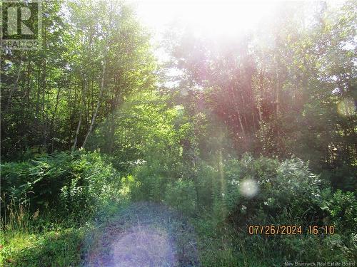 Lot #1 Highway/Manor Road, St George, NB 