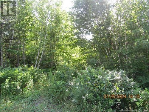 Lot #1 Highway/Manor Road, St George, NB 