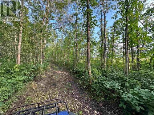 Lot 8, Con 6 Barber Twp. Rd 2, Elk Lake, ON - Outdoor