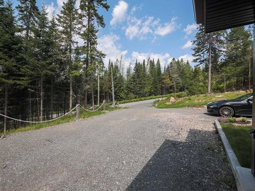 Parking - 3010 Imp. Des Promeneurs, Sainte-Agathe-Des-Monts, QC - Outdoor With View