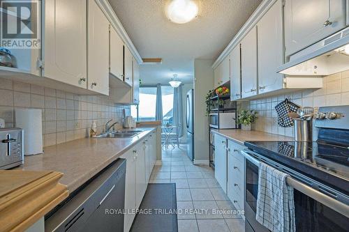 1209 - 1103 Jalna Boulevard, London, ON - Indoor Photo Showing Kitchen With Double Sink