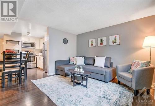 215 Ivy Crescent, Ottawa, ON - Indoor Photo Showing Living Room