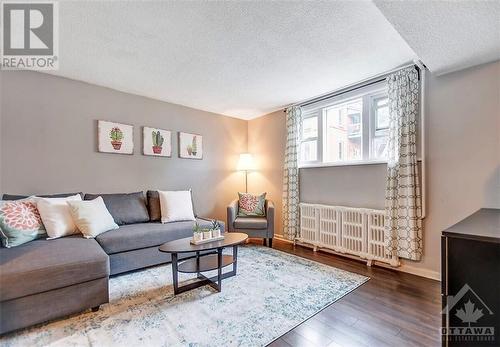 215 Ivy Crescent, Ottawa, ON - Indoor Photo Showing Living Room