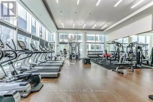 2009 - 90 Stadium Road, Toronto (Niagara), ON - Indoor Photo Showing Gym Room