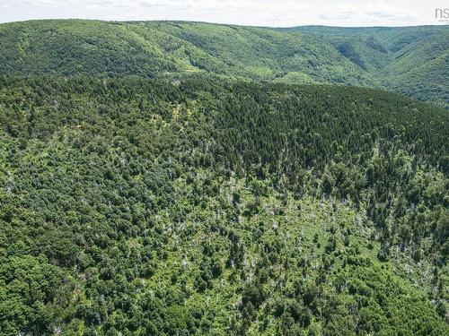 Cabot Trail, Point Cross, NS 