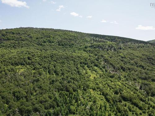 Cabot Trail, Point Cross, NS 