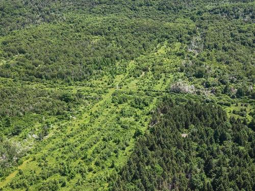 Cabot Trail, Point Cross, NS 