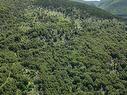 Cabot Trail, Point Cross, NS 