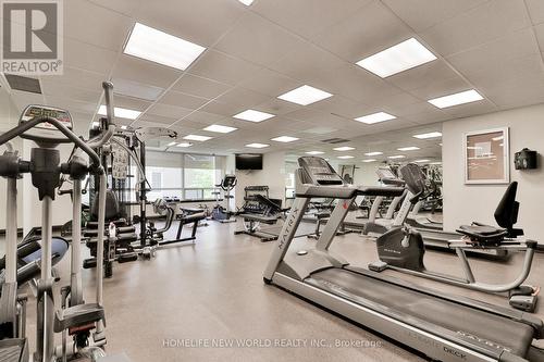 305 - 8 Rean Drive, Toronto (Bayview Village), ON - Indoor Photo Showing Gym Room