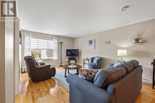 19 Spring Meadow Court, St.Johns, NL - Indoor Photo Showing Living Room